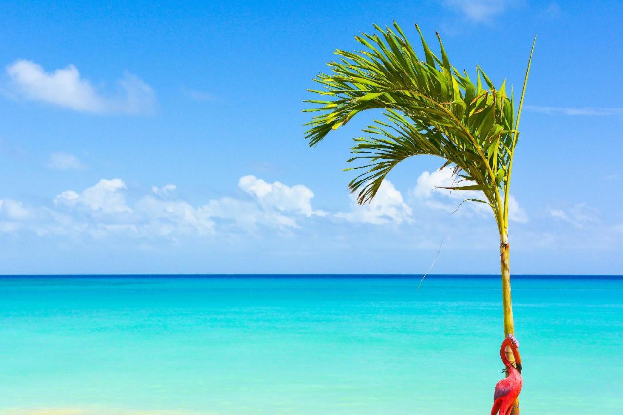 Kaz Kreol Beach Hotel Ότσο Ρίος Εξωτερικό φωτογραφία